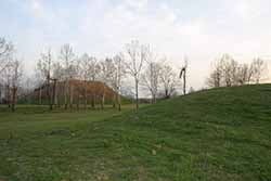 Winterville Mounds and Museum